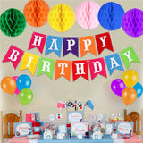Tissue Paper Flowers Pom Poms Paper Garland Balloons Kit for Birthday Wedding Party Decoration