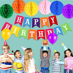 Tissue Paper Flowers Pom Poms Paper Garland Balloons Kit for Birthday Wedding Party Decoration